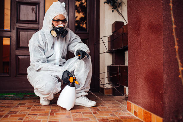 Reliable Cockroach Control contractor in Ravenel, SC by Nex Pest Control