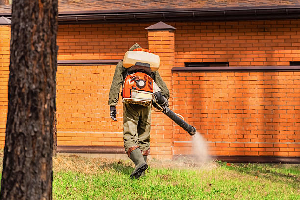 Trusted Termite Control service in Ravenel, SC - Nex Pest Control
